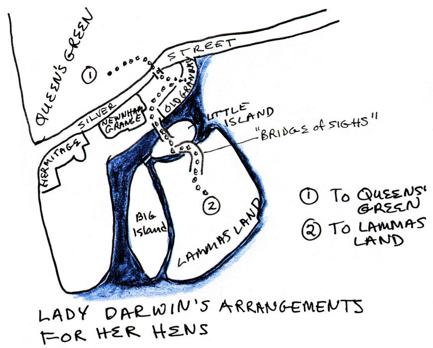 Lady Darwin arrangements for her hens