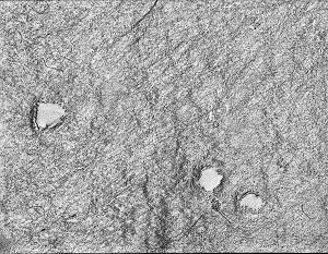 R25 Marble floor with scarring by B.A.Zanditon